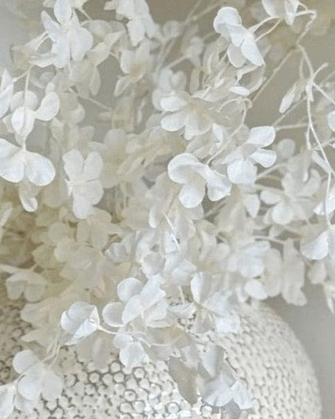 Artificial White Blossom Stem from Starlight Express, featuring realistic white flower blossoms on a green stem for decorative use.