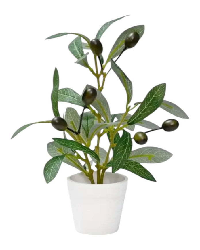 Mini potted olive tree by Starlight Express, artificial plant with realistic green foliage in a small decorative pot.