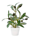 Mini potted olive tree by Starlight Express, artificial plant with realistic green foliage in a small decorative pot.