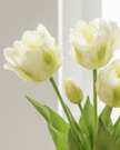 Bunch of 5 white artificial Parrot Tulip stems, standard size, spring flowers, from Starlight Express, realistic faux plant display