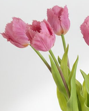 Bunch of 5 pink artificial Parrot Tulip stems from Starlight Express, perfect for spring floral decor.