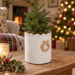 Stoneglazed Christmas wreath pot styled with a miniature tree