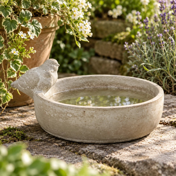 Satchville stoneware bird bath bowl used as outdoor home decor with a textured, rustic finish and round shape.