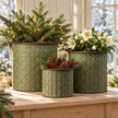 Set of three vintage green metal planters with festive foliage, white flowers and berries on an oak console