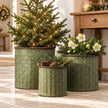 Three vintage green embossed metal planters with a small Christmas tree, white flowers and pinecones in a light country hallway