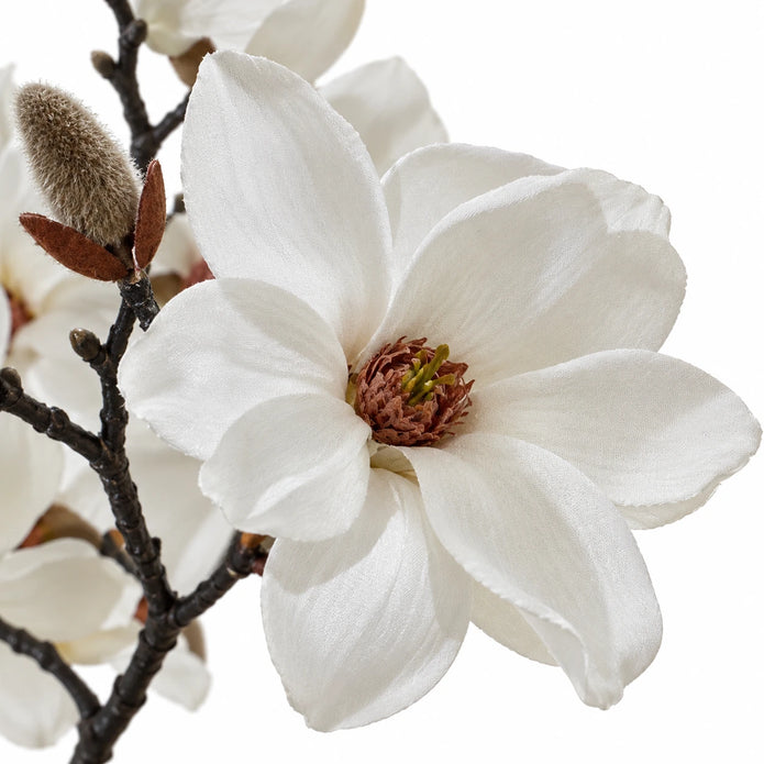 Hill Interiors artificial white magnolia branch stem with realistic blossoms and green leaves in close-up view