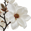Hill Interiors artificial white magnolia branch stem with realistic blossoms and green leaves in close-up view