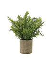 Faux Foliage - Potted Herb In Neutral Stone Pot - Faux Plants & FlowersFaux Plants & Flowers - Lulu Loves Home
