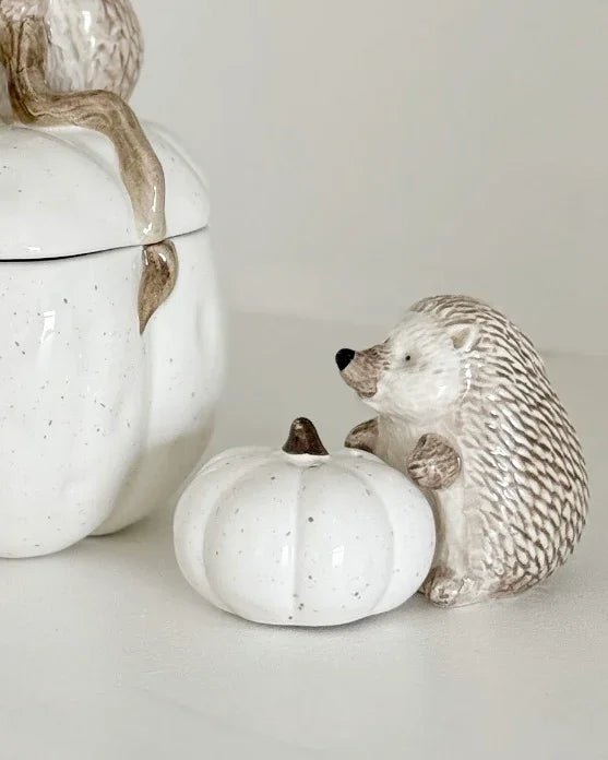 Hedgehug - Pumpkin And Hedgehog Salt And Pepper Set - Seasonal Decor - AutumnSeasonal Decor - Autumn - Lulu Loves Home