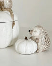 Hedgehug - Pumpkin And Hedgehog Salt And Pepper Set - Seasonal Decor - AutumnSeasonal Decor - Autumn - Lulu Loves Home
