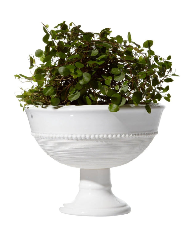 Livia White Ceramic Footed Bowl - Lulu Loves Home Lulu Loves Home 