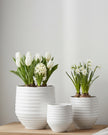 White ceramic Evelyn plant pot with ribbed design, perfect for home decor, by Wikholmform.