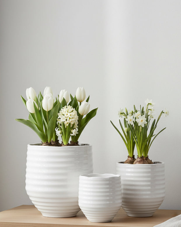 White ceramic Evelyn plant pot with ribbed design, perfect for home decor, by Wikholmform.