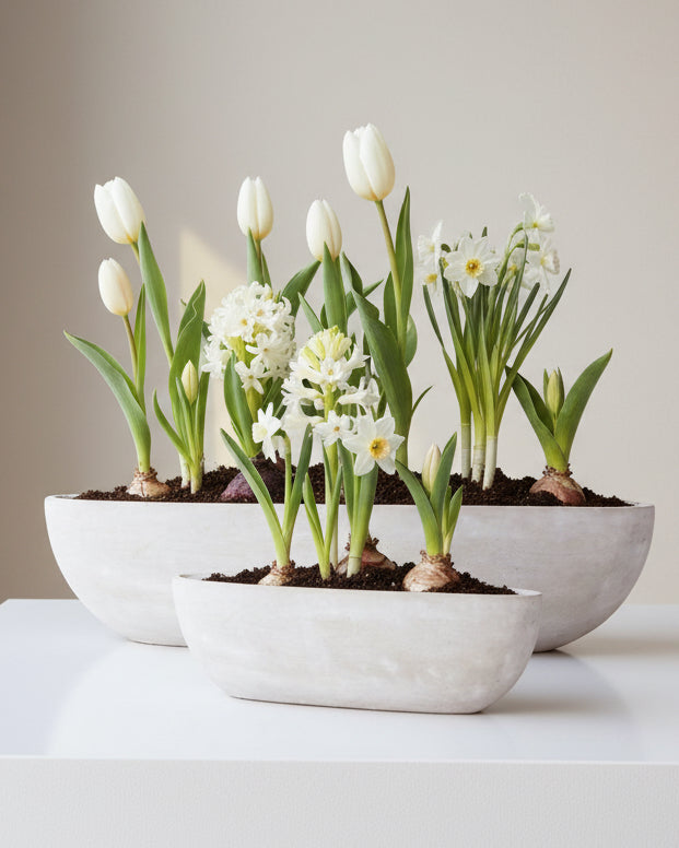 Large boat-shaped decorative bowl made of Siri Stone by Wikholmform, ideal for home décor displays.