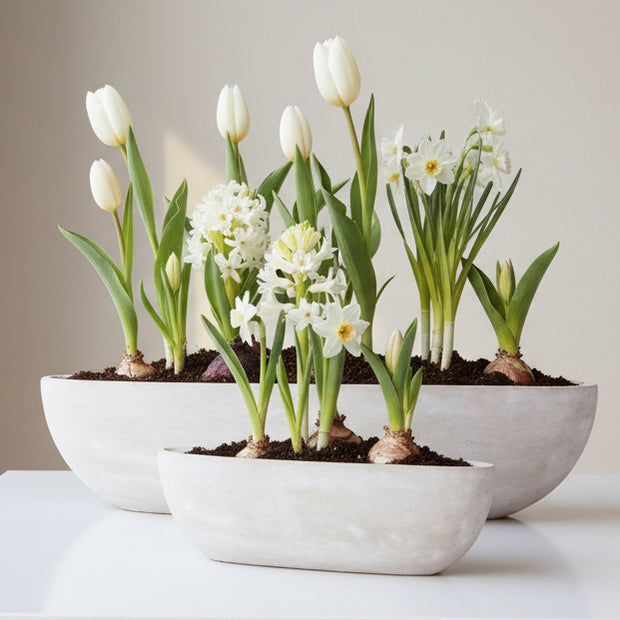 Large Siri Stone boat-shaped decorative bowl by Wikholmform for home decor, showcasing its smooth stone finish and elegant design.