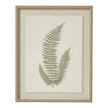 Wooden framed vintage wall art print featuring green ferns, decorative wall decor by Hill Interiors