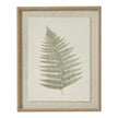Wooden framed vintage wall art print featuring green ferns, decorative botanical wall decor by Hill Interiors.
