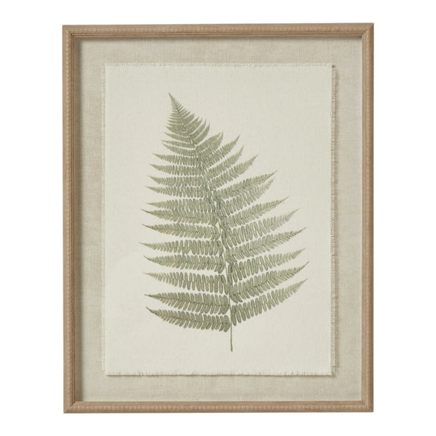 Wooden framed vintage wall art print featuring green ferns, decorative botanical wall decor by Hill Interiors.
