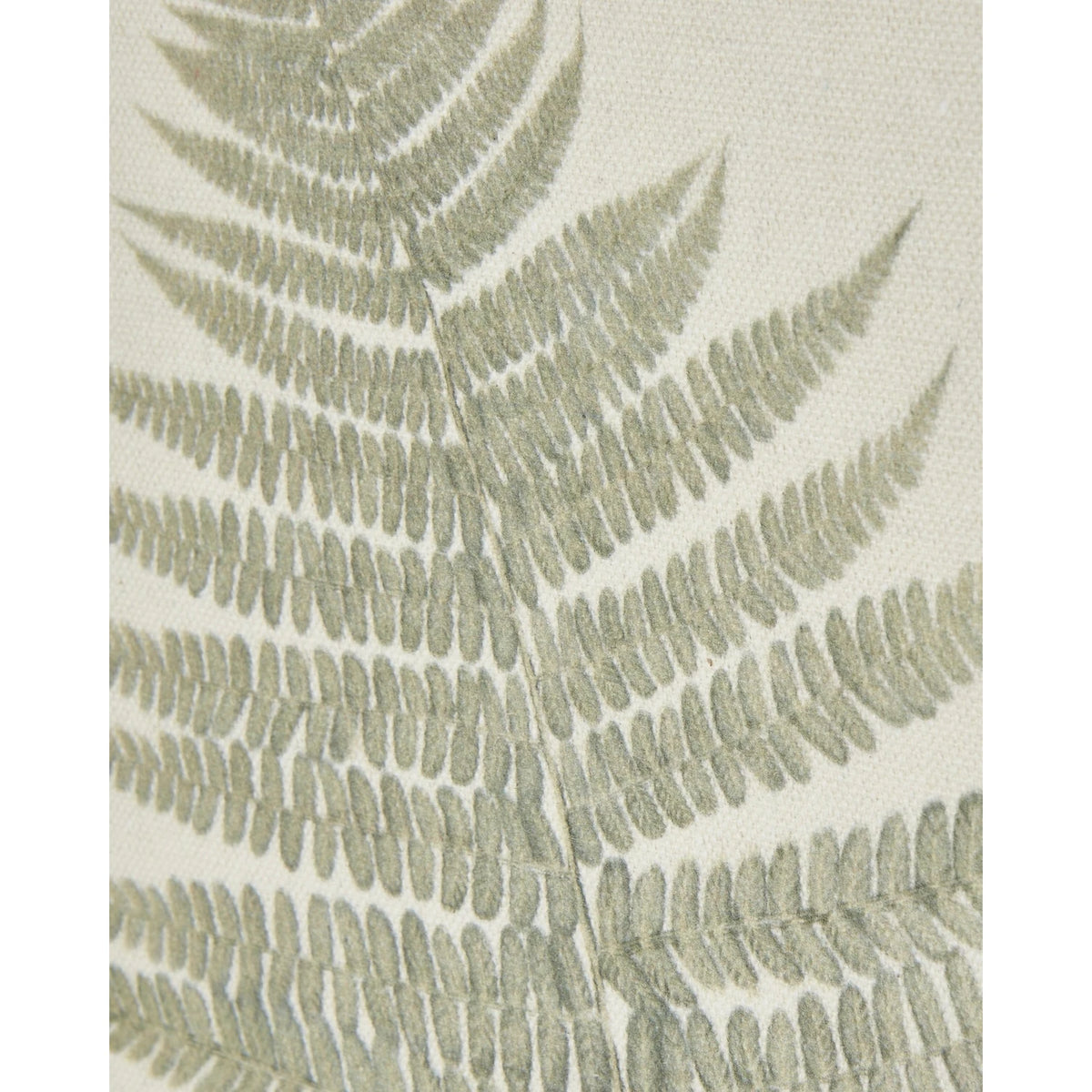 Wooden framed vintage wall art print of green ferns by Hill Interiors, showcasing botanical greenery for home decor.