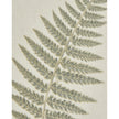 Wooden framed vintage wall art print featuring green ferns, ideal for home decor by Hill Interiors.