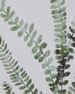 Wooden Framed Wall Art Print - Green Ferns - Posters, Prints, & Visual ArtworkPosters, Prints, & Visual Artwork - Lulu Loves Home