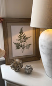 Wooden Framed Wall Art Print - Green Ferns - Posters, Prints, & Visual ArtworkPosters, Prints, & Visual Artwork - Lulu Loves Home