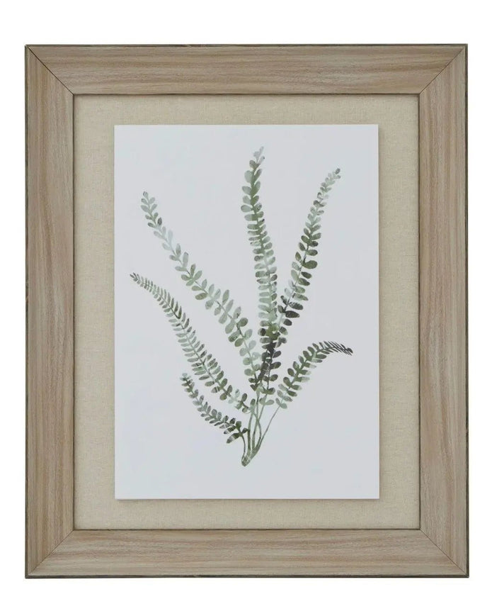 Wooden Framed Wall Art Print - Green Ferns - Posters, Prints, & Visual ArtworkPosters, Prints, & Visual Artwork - Lulu Loves Home