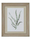 Wooden Framed Wall Art Print - Green Ferns - Posters, Prints, & Visual ArtworkPosters, Prints, & Visual Artwork - Lulu Loves Home
