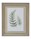 Wooden Framed Wall Art Print - Green Ferns - Posters, Prints, & Visual ArtworkPosters, Prints, & Visual Artwork - Lulu Loves Home