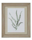 Wooden Framed Wall Art Print - Green Ferns - Posters, Prints, & Visual ArtworkPosters, Prints, & Visual Artwork - Lulu Loves Home