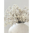 Zaffera Ivory Caldron Textured Vase, close-up of white branches in an ivory textured vase